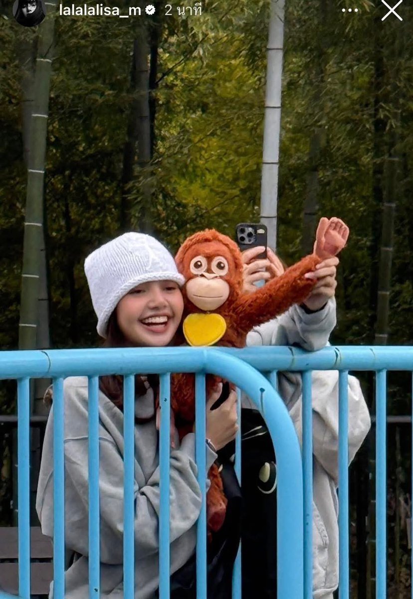 bryyyysonklay's tweet image. ต้าวลิซไปหาน้องพันซ์คุงด้วย 💗🐒 น่ารักมากๆ ฮือออออ #พันซ์คุง #lisa #PunchTheMonkey