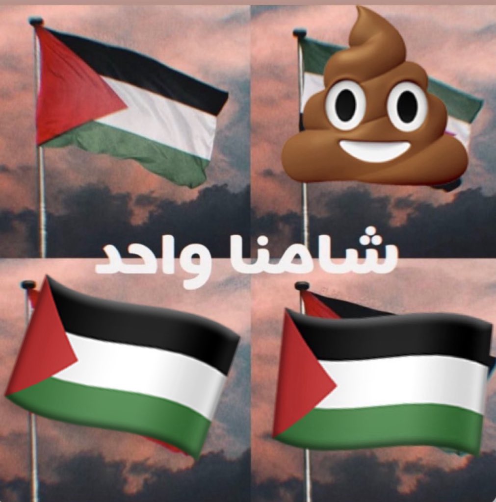 Her name is Palestine 🇵🇸😇 tweet media