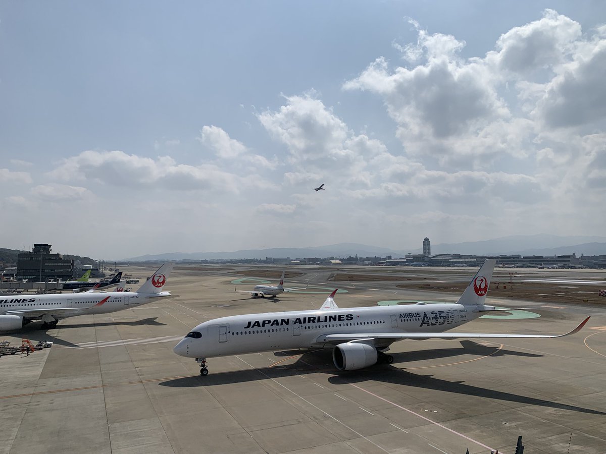 YOUbus1192's tweet photo. JAL便のA350機材 https://t.co/rPx5y6cobd