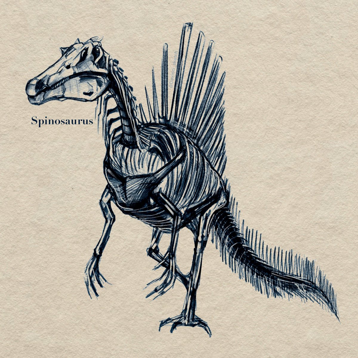 Davinci_sketch's tweet photo. Dinosaur Drawing collection - 공룡 그림 모음
@Cuda @Procreate
#그림러_𝕏친소 #dinosaurs #spinosaurus #diplodocus #T_rex #quetzalcoatlus #paleoart #illustration #procreate #collection https://t.co/uBFzbfknQH