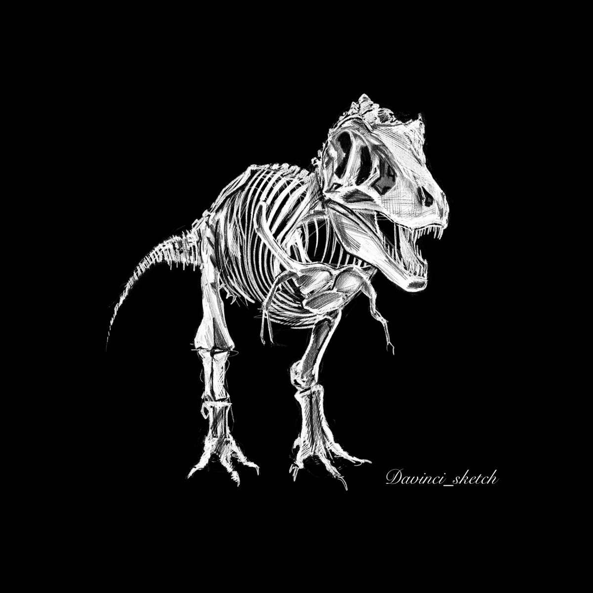 Davinci_sketch's tweet photo. Dinosaur Drawing collection - 공룡 그림 모음
@Cuda @Procreate
#그림러_𝕏친소 #dinosaurs #spinosaurus #diplodocus #T_rex #quetzalcoatlus #paleoart #illustration #procreate #collection https://t.co/uBFzbfknQH
