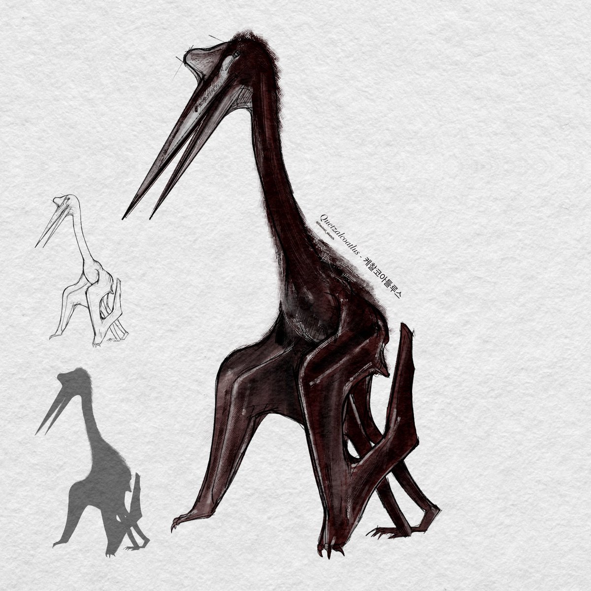 Dinosaur Drawing collection - 공룡 그림 모음
<a href="/Cuda/">James</a> <a href="/Procreate/">Procreate</a> 

#그림러_𝕏친소 #dinosaurs #spinosaurus #diplodocus #T_rex #quetzalcoatlus #paleoart #illustration #procreate #collection