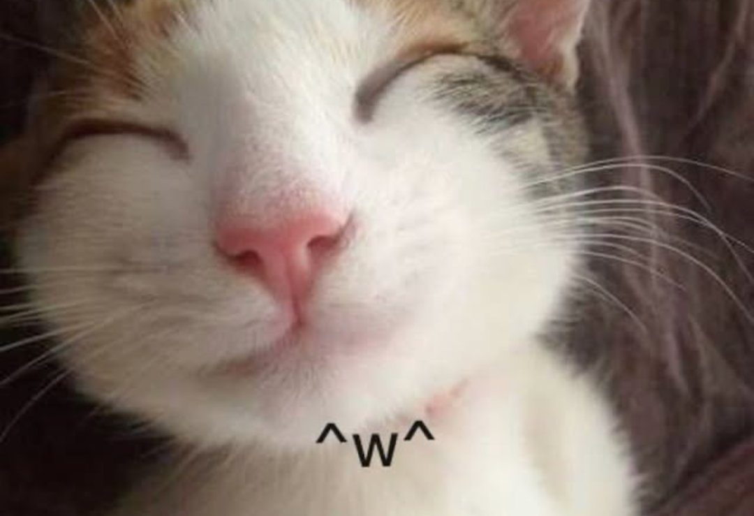 🎭✧₊⁺ Lux ✧₊⁺🎭 tweet media