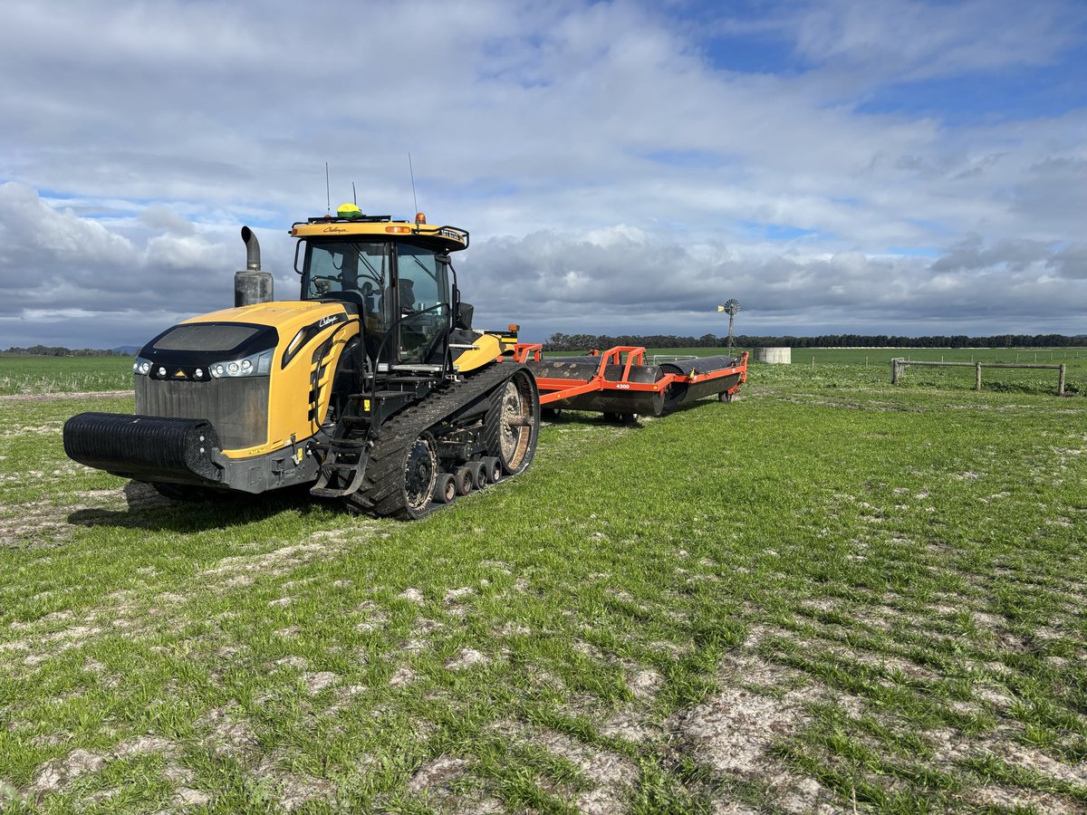 rileycurnow tweet media