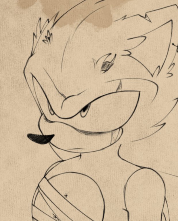 I'm cooking something special 👉🏼👈🏼🦔

#sonicfanart #SonicTheHedeghog #myart