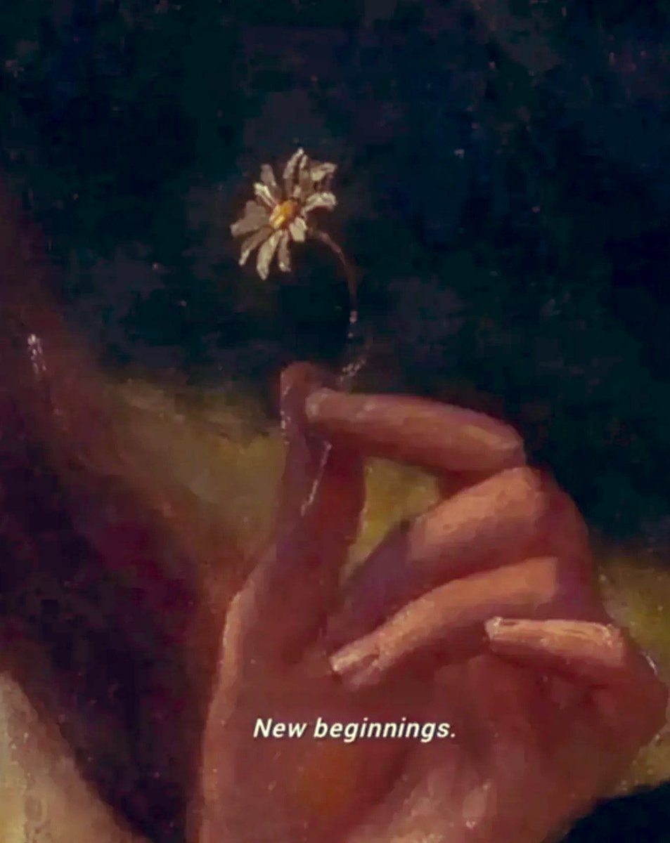 🌼