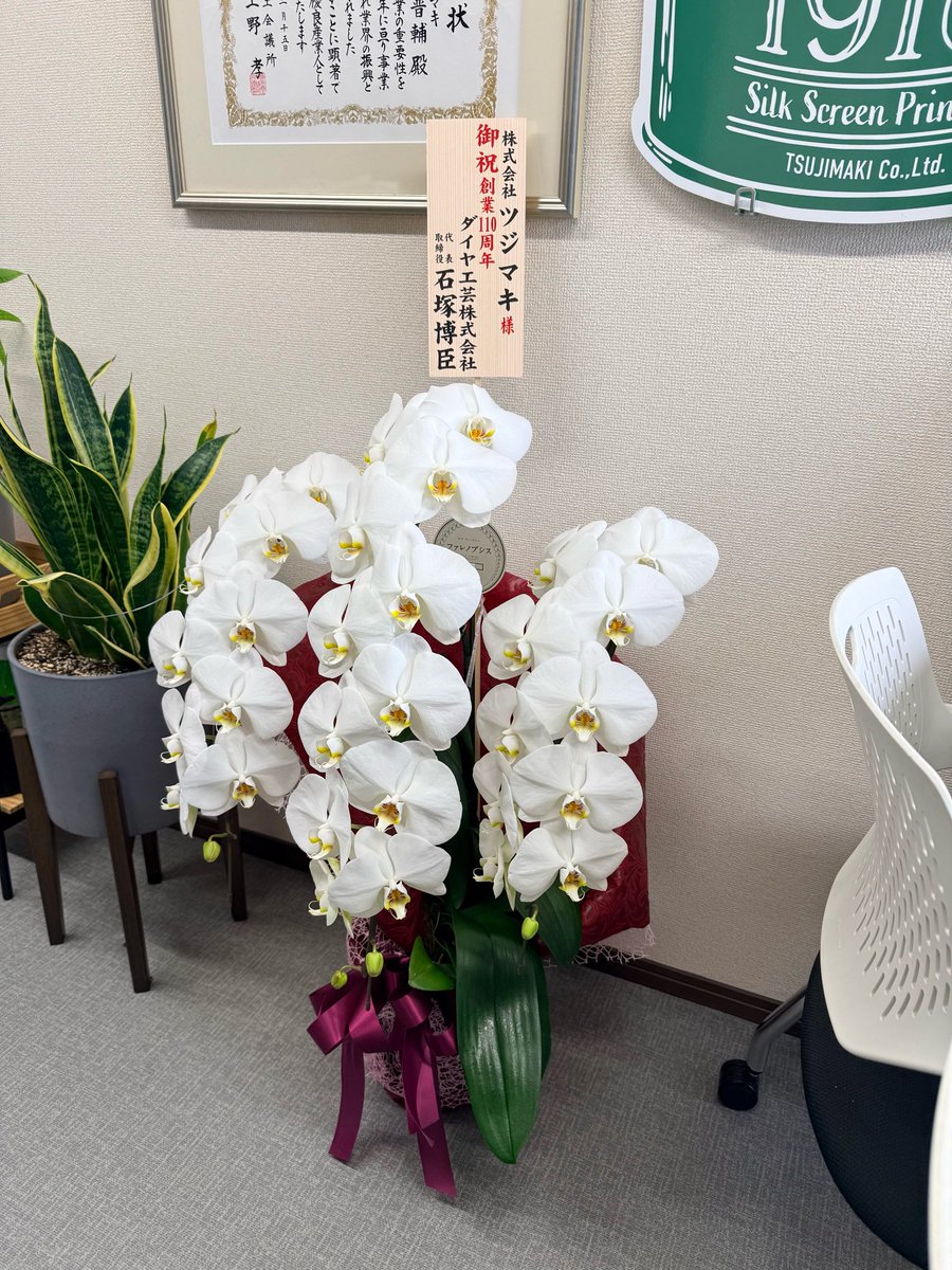 創業110周年のお祝いに
神奈川県スクリーン・デジタル印刷協同組合
石塚理事長より立派な胡蝶蘭をいただきました。

会社に届いたその大きさに社員一同びっくり。
温かいお心遣いに心より感謝いたします。

#創業110周年
#スクリーン印刷