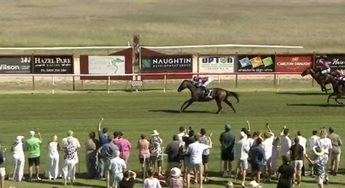 Peter Twomey tweet media