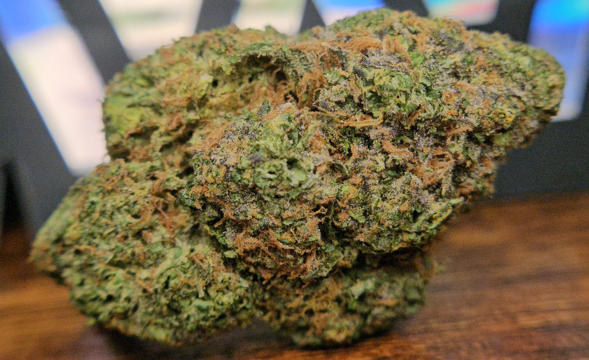 Haze4dayz tweet media