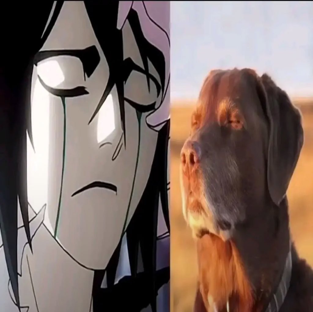 Six paths tweet media