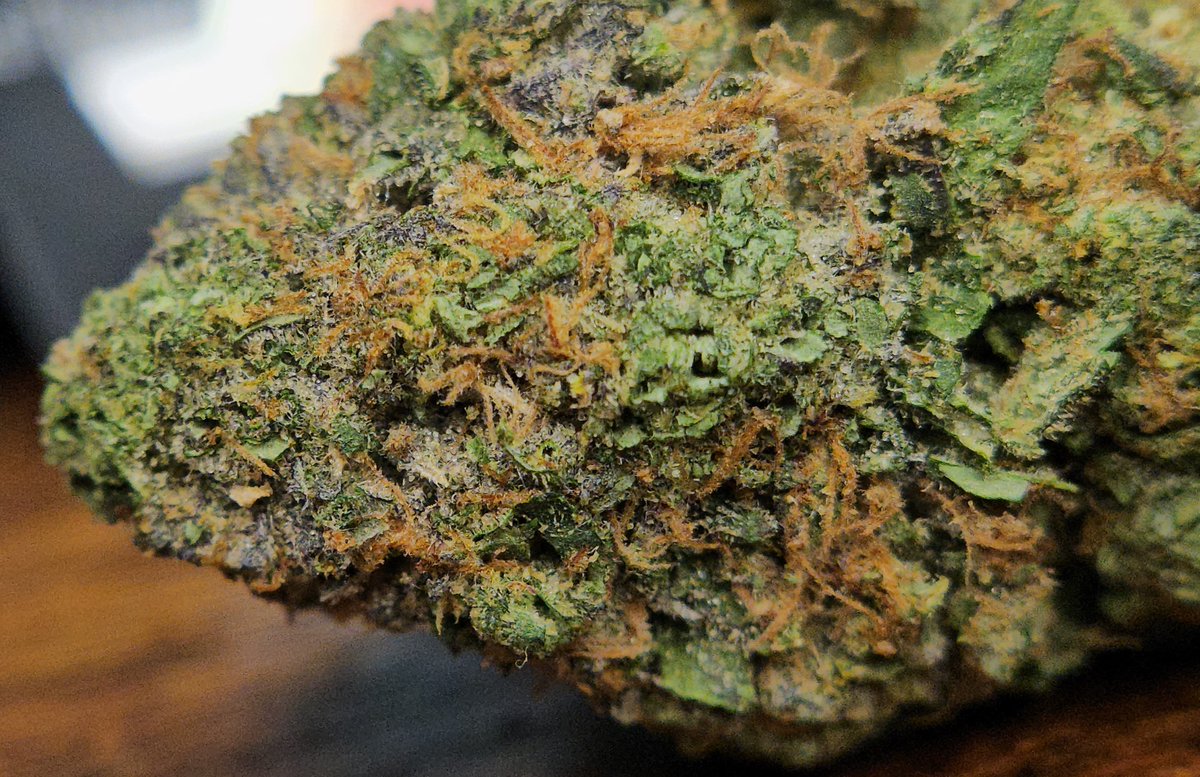 Haze4dayz tweet media