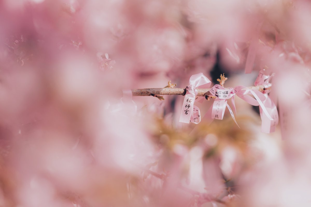 すず | suzu tweet media