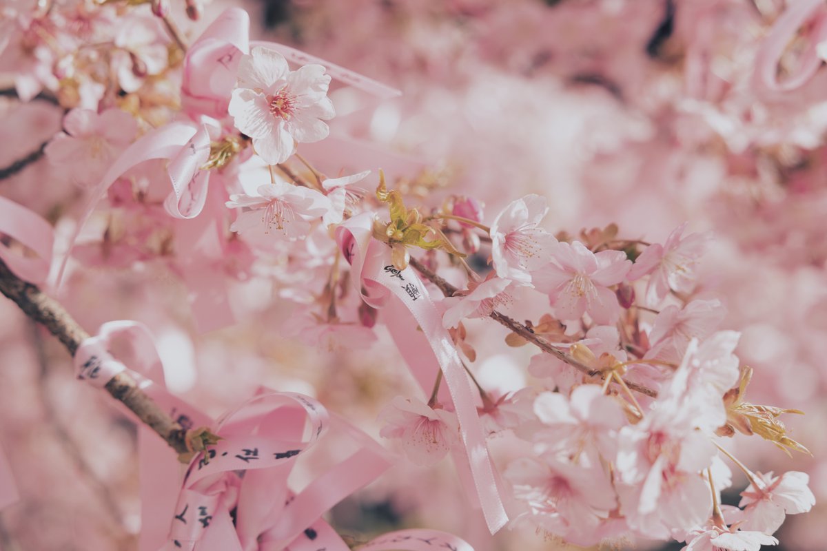 すず | suzu tweet media