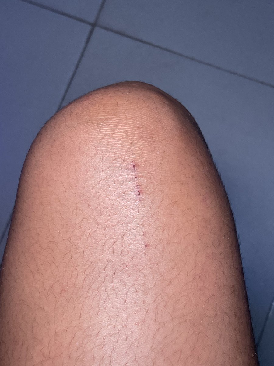 💜𝗚𝗜𝗠 | Website Developer💜 tweet media