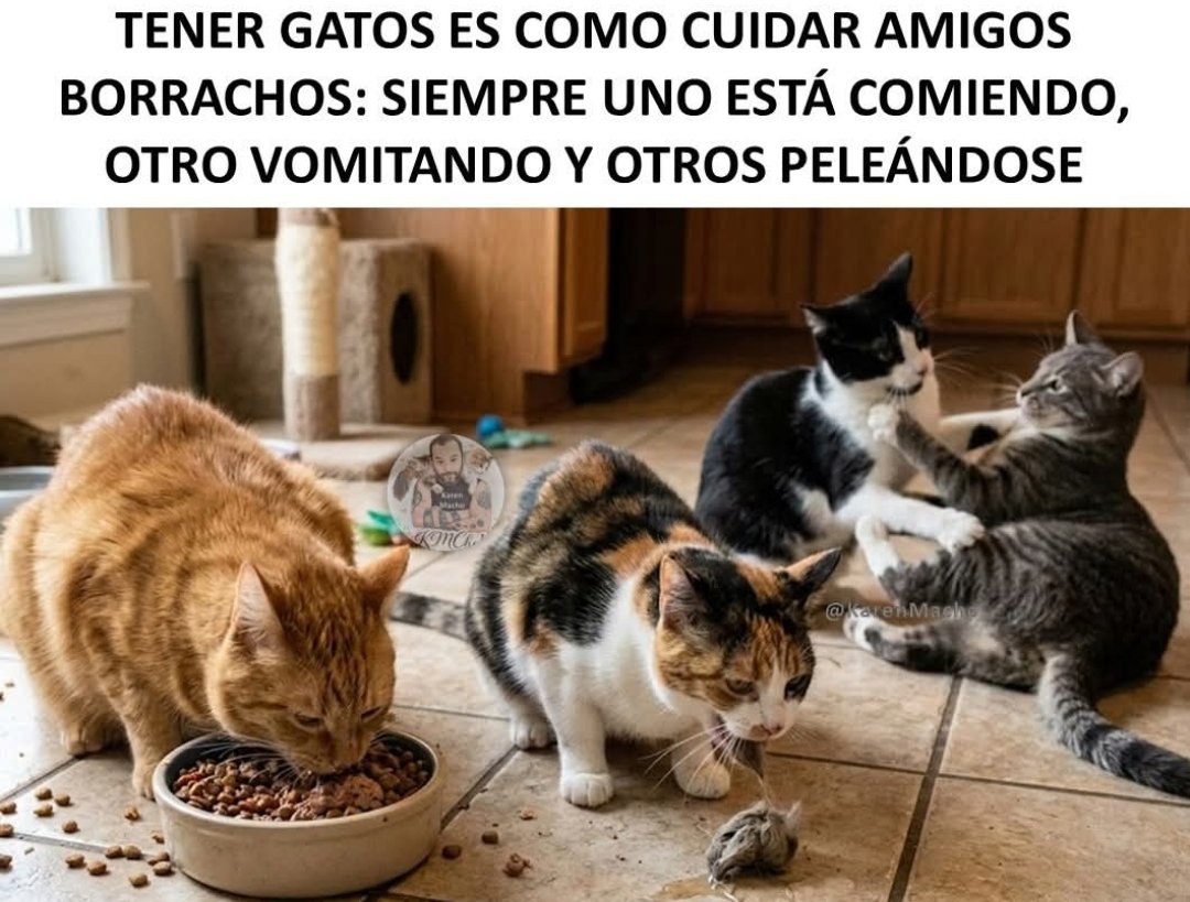 Te hablan <a href="/eddie_machin/">Eddie Machín</a> 🤣🤣🤣