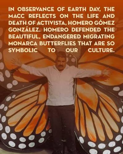 <a href="/JoelMCurzon/">Joel M. Curzon</a> Their overwintering habitat is being destroyed illegally to grow avocados :( the famous Mexican conservationist Homero Gomez Gonzales who protected the habitat for years was murdered by the poachers so they could illegally grow more avocados