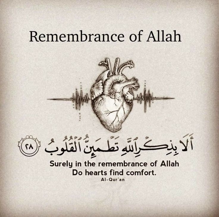 Lina_Ali3's tweet photo. Repost, it will help you and me❤🕊️ https://t.co/mde10vgp3h