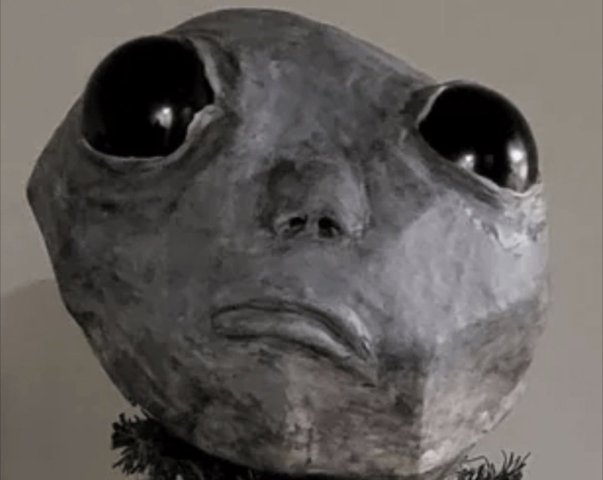 Paw ✂️🐰 tweet media