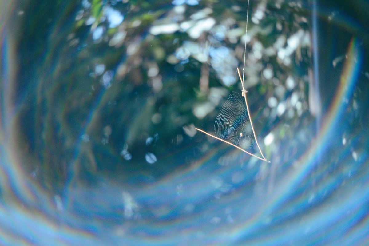 小野翼@副業で動画編集・写真撮影・デザイン tweet media