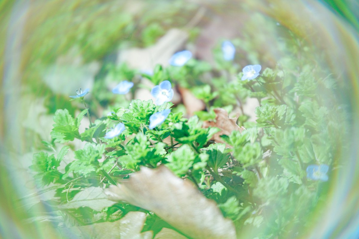 小野翼@副業で動画編集・写真撮影・デザイン tweet media