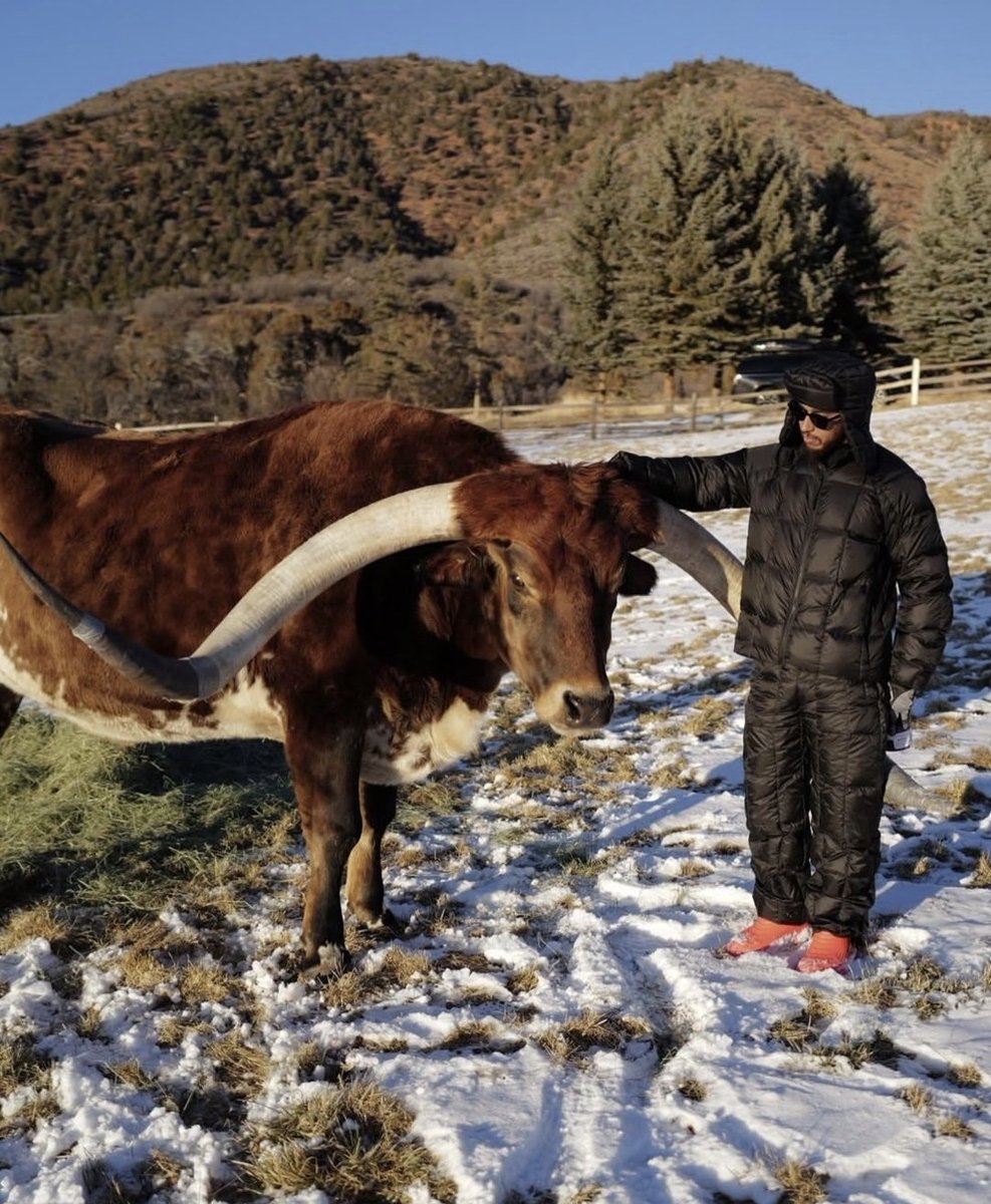 Lewis Hamilton says he adopted two cows for his farm… and their names are Max and Ombre. 

A cow named Max on Hamilton’s farm…😅
