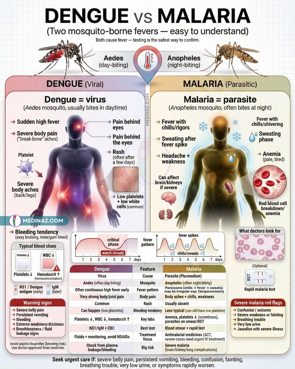 The Medics🩺💊💉🏥 tweet media