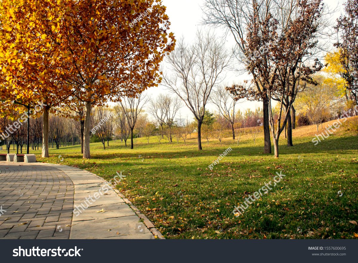 Lnace Beritctnie 🇺🇸🌎 tweet media