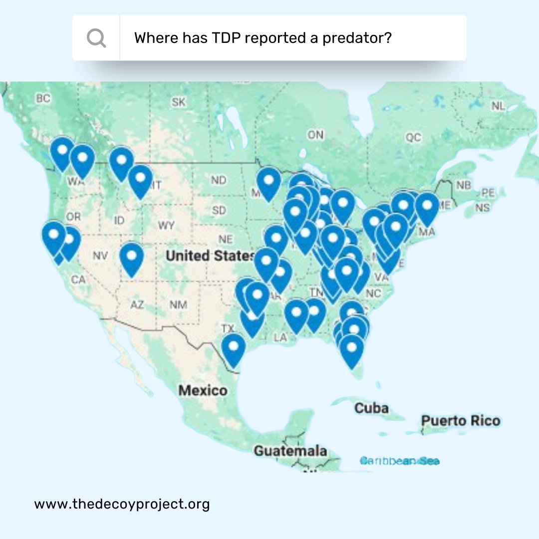 TheDecoyProject's tweet photo. Predators don’t operate in just one place—and neither do we.
The Decoy Project has reported suspected child predators across the United States, providing documented evidence to law enforcement to help protect kids online. Every pin on this map represents a case where action was taken.

Learn more at https://t.co/UbYRivTzkO.