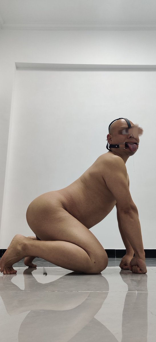 光头狗奴 tweet media