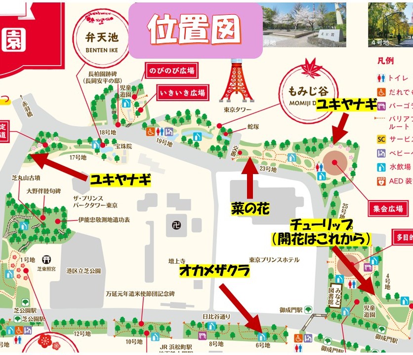 都立芝公園 tweet media