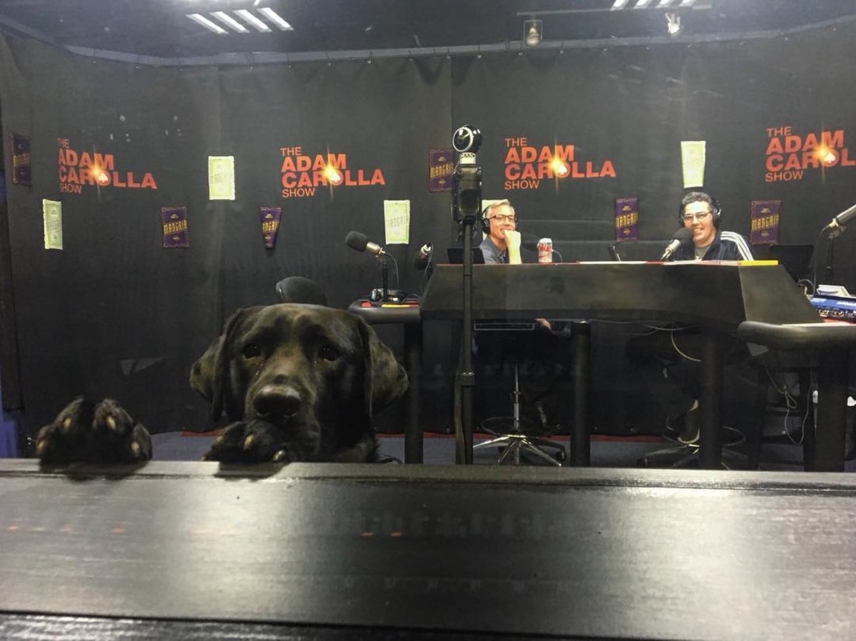 Adam Carolla tweet media