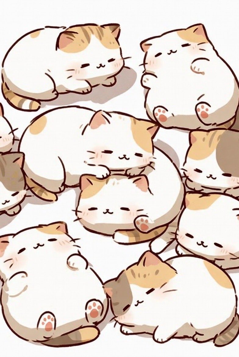 G4rGBOuEPQ5INUH's tweet photo. お昼寝🐱💤 https://t.co/cndeXT3GTT