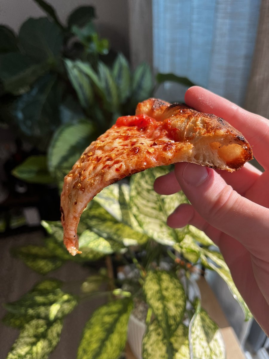 Ryan Visbeck tweet media