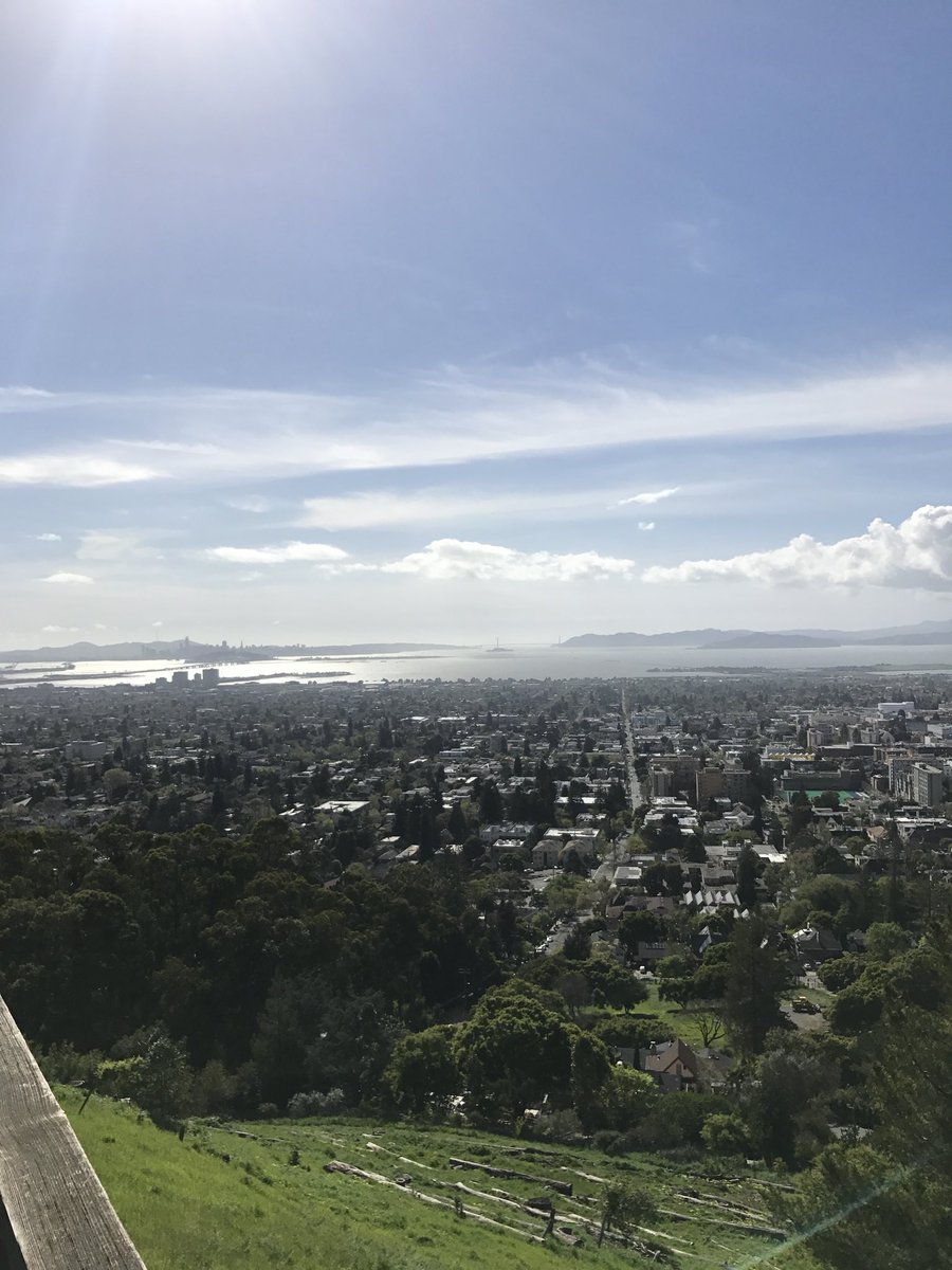 Nikita Bier tweet media