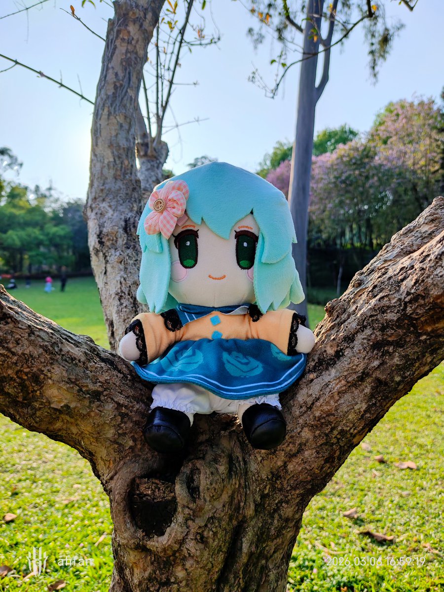 先食飯 tweet media