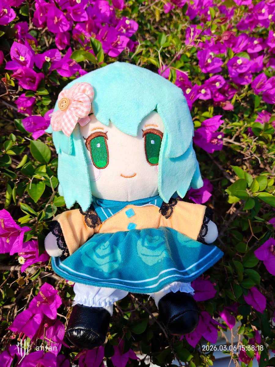 先食飯 tweet media