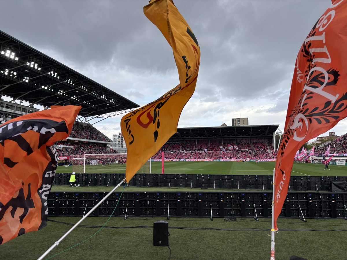 シュウイチ tweet media