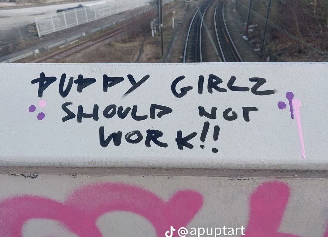 Bloomy Baby| tweet media