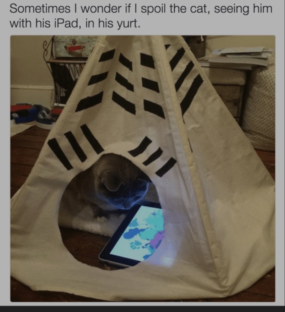 Cinitrotoluene tweet media