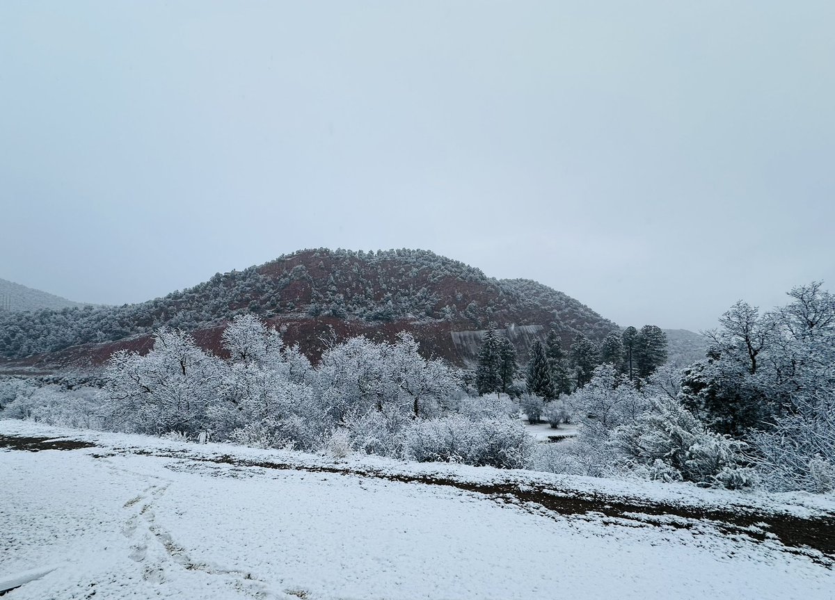 Brush Secondary Campus Student Activities tweet media