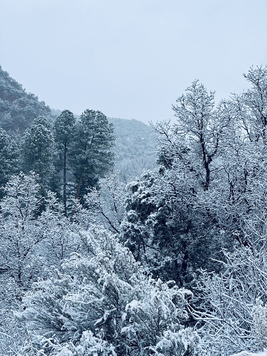 Brush Secondary Campus Student Activities tweet media