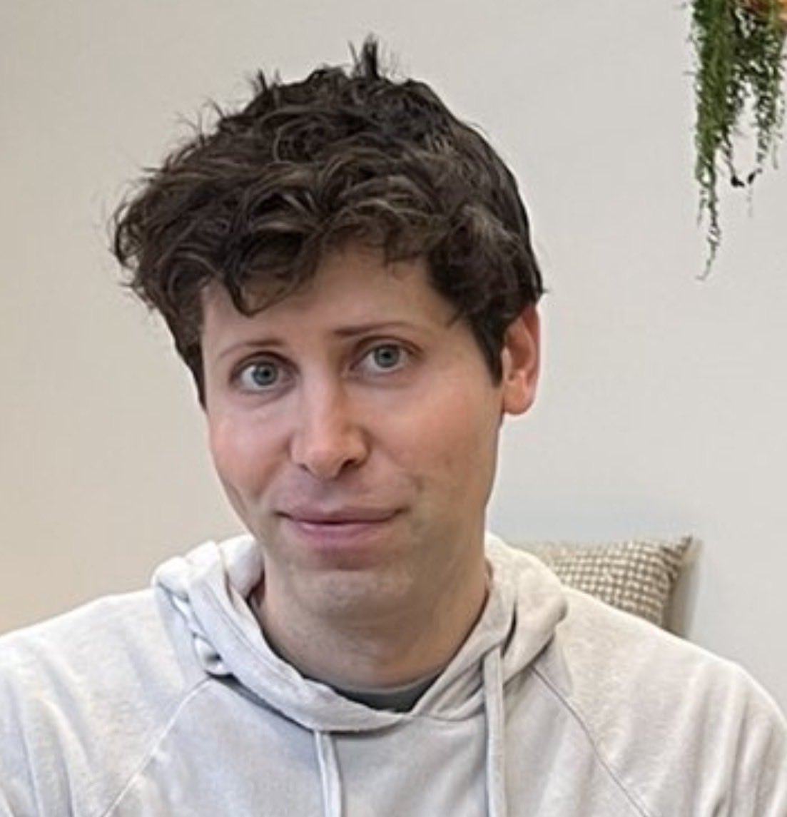 Denislav Gavrilov tweet media