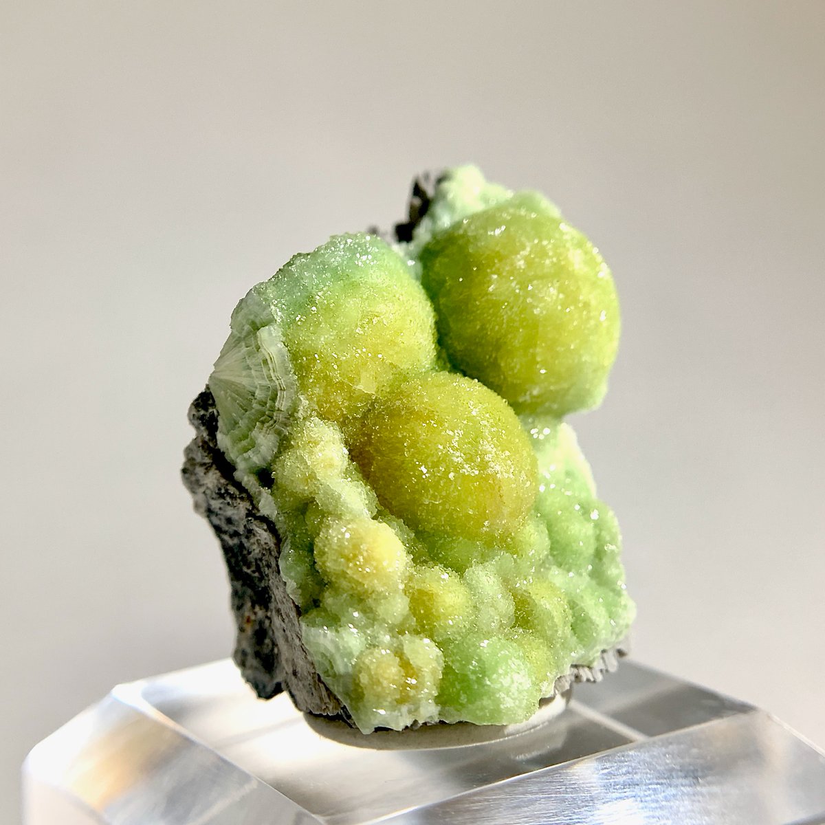 カズホ(ちょっと復活) (@kxhmkmi) / Posts / X