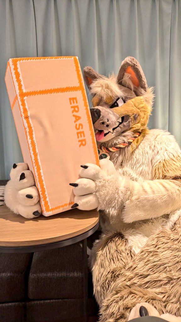 QB🍜🦁Lion tweet media