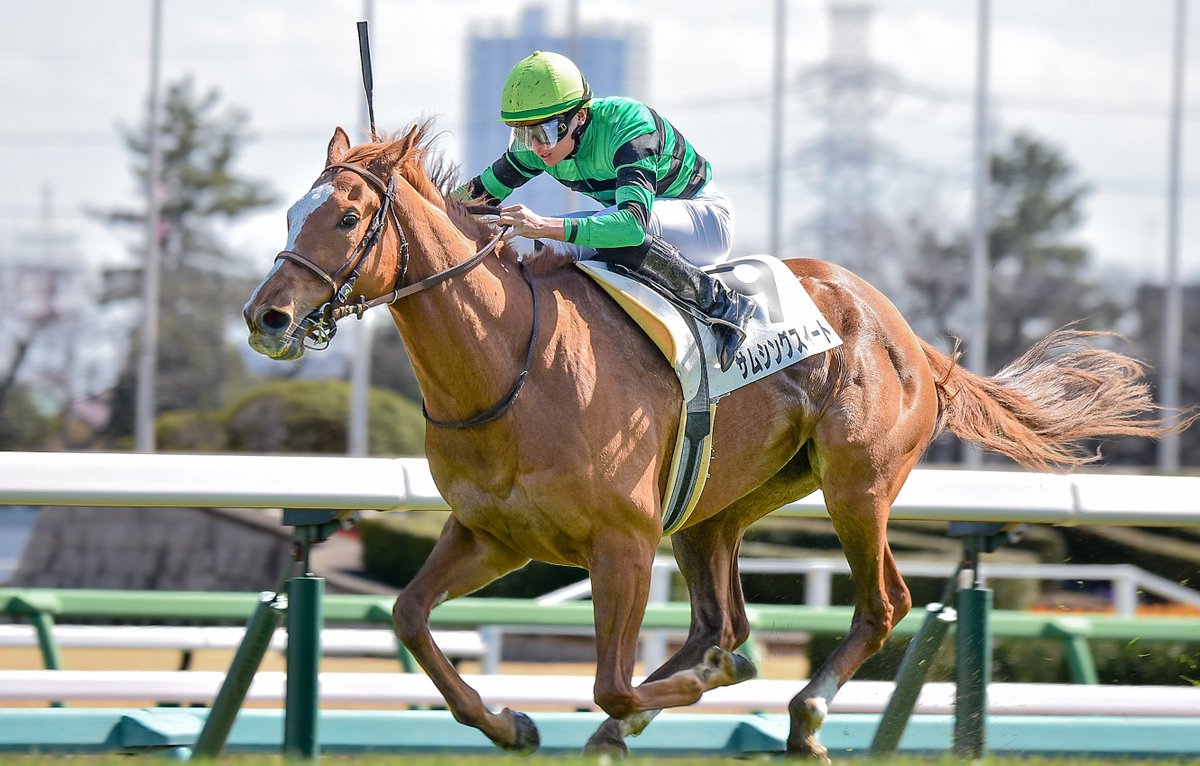 Meg∞🏇📷️🎾🤫 (@M89oumasan) / Posts / X