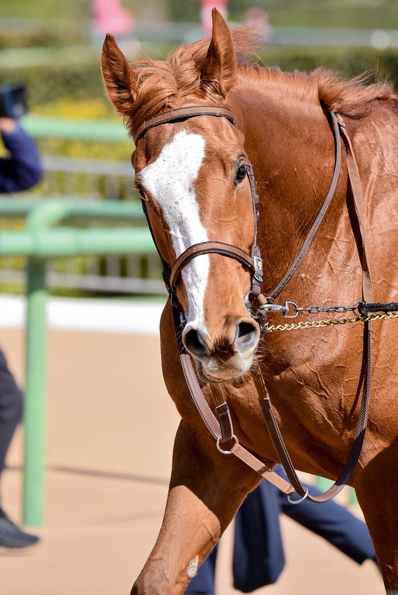 Meg∞🏇📷️🎾🤫 (@M89oumasan) / Posts / X