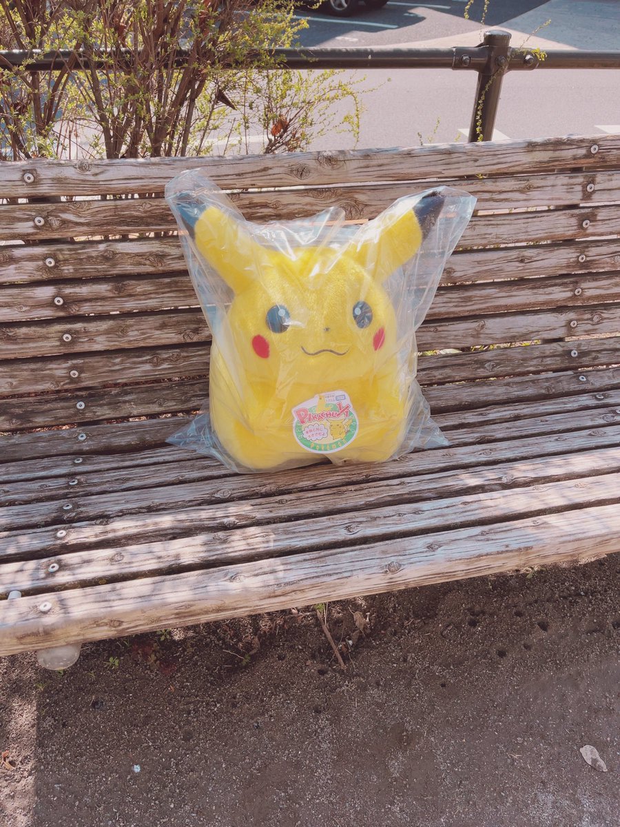 ぷぅ吉 tweet media