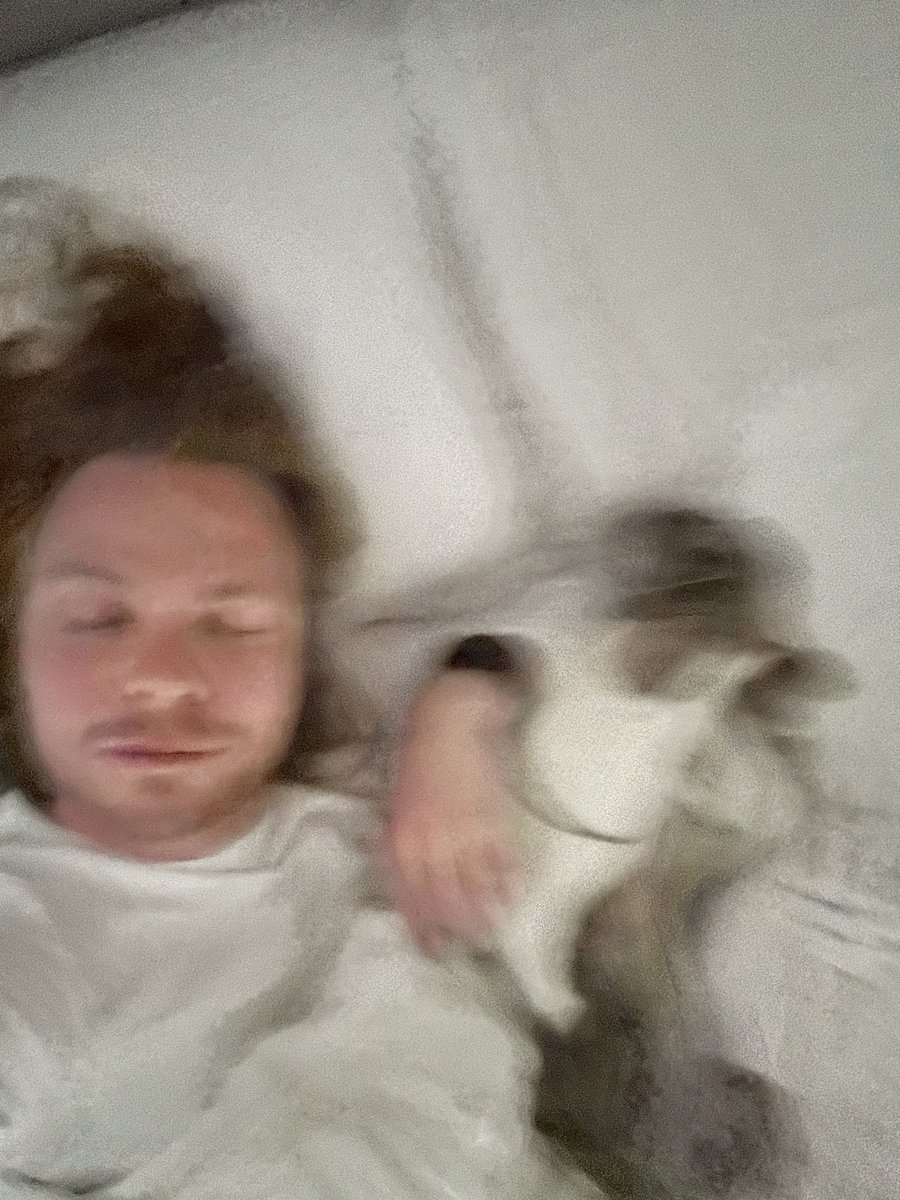 Loschique tweet media