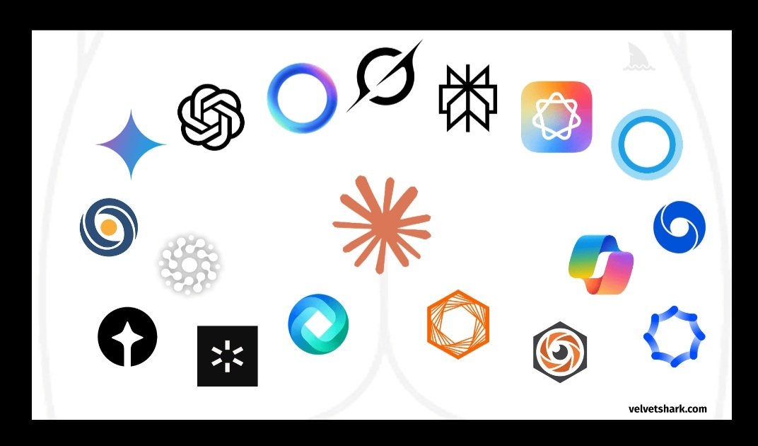 TinMadDog26 tweet media