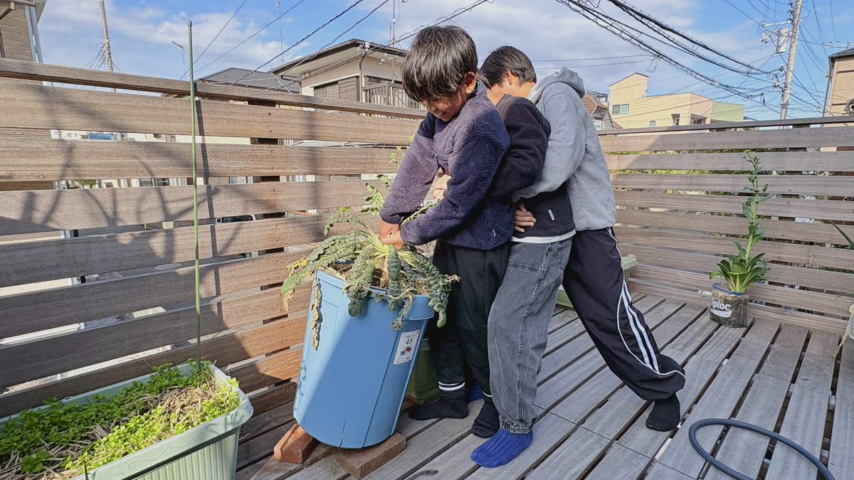 ぽたろうの家庭菜園HACK (@HACK1136) / Posts / X